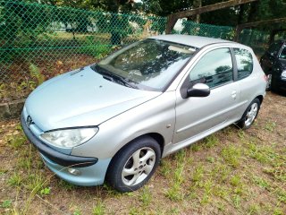 Peugeot 206 para rally