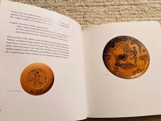 Libro - Museo Picasso Colección Eugenio Arias