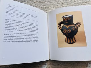 Libro - Museo Picasso Colección Eugenio Arias