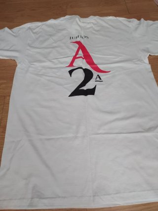 Camiseta Cultural Leonesa Ascenso 2ª División