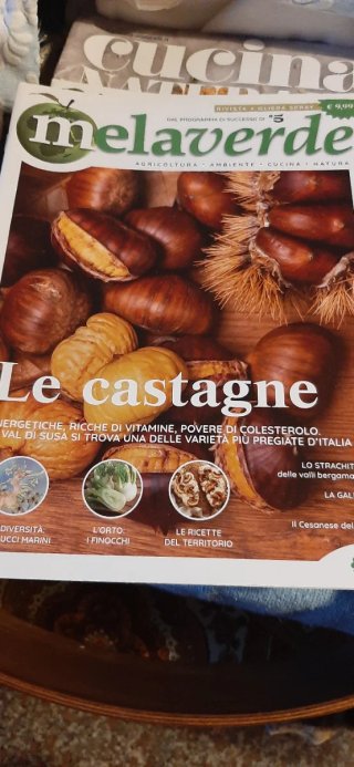 9 riviste Melaverde