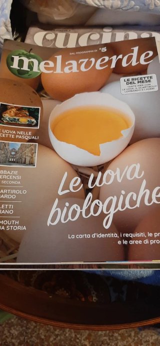 9 riviste Melaverde
