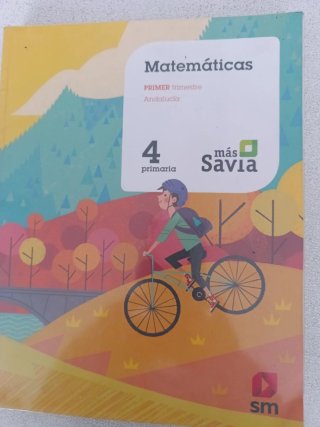 Libro de matemáticas 4 primaria editorial SM