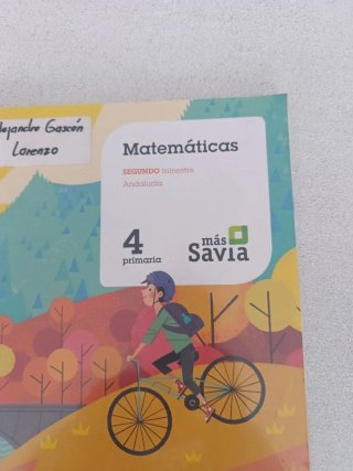 Libro de matemáticas 4 primaria editorial SM
