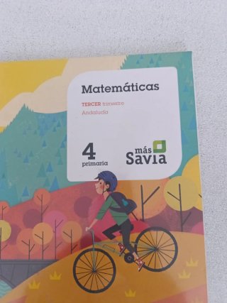 Libro de matemáticas 4 primaria editorial SM