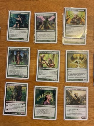 Lote di Carte Magic MTG - Campione Elfico
