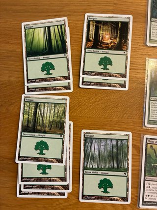 Lote di Carte Magic MTG - Campione Elfico