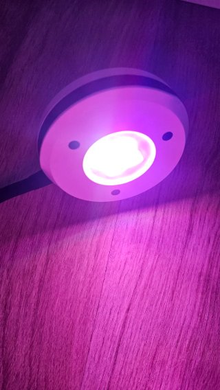 Luz refugio algas acuario