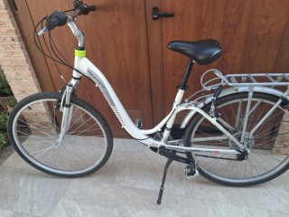 Bicicleta Monty Trekking