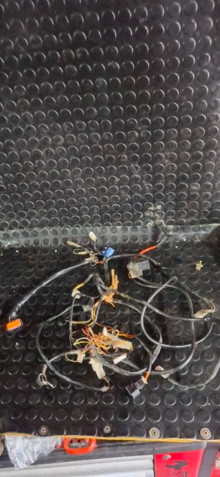 Encendido Stator CDI Volante KTM EXC-F 450 09
