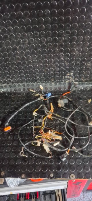 Encendido Stator CDI Volante KTM EXC-F 450 09