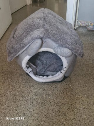 Cama para perrita pequeña