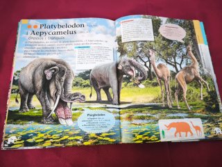 Enciclopèdia d'animals prehistorics