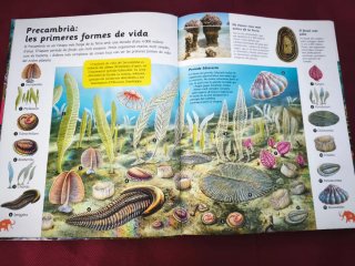 Enciclopèdia d'animals prehistorics