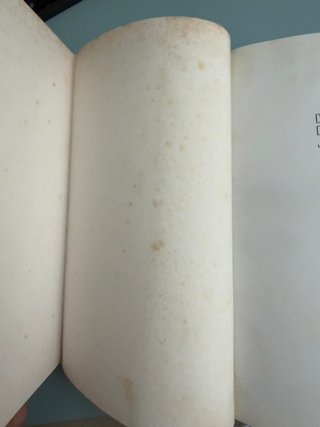 Colmillo Blanco