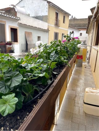 Jardinera larga balcon de Madera