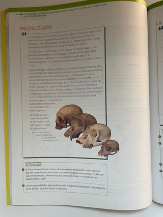 Libros de filosofia 1 bachillerato Edelvives