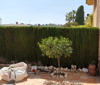 JARDINERO ECONÓMICO