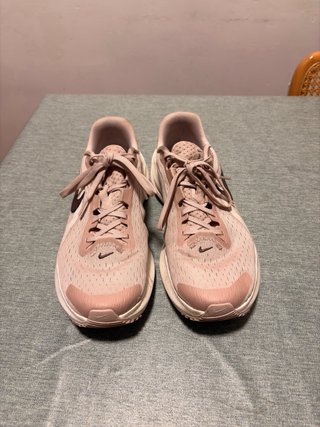 Nike Downshifter 14 Zapatillas Running Rosa
