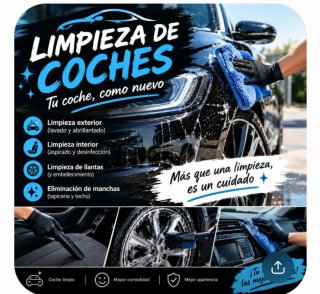 limpieza de coches