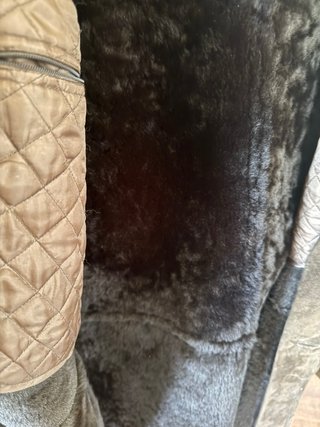 Pertegaz Chaquetón Piel Marrón Hombre Talla 50
