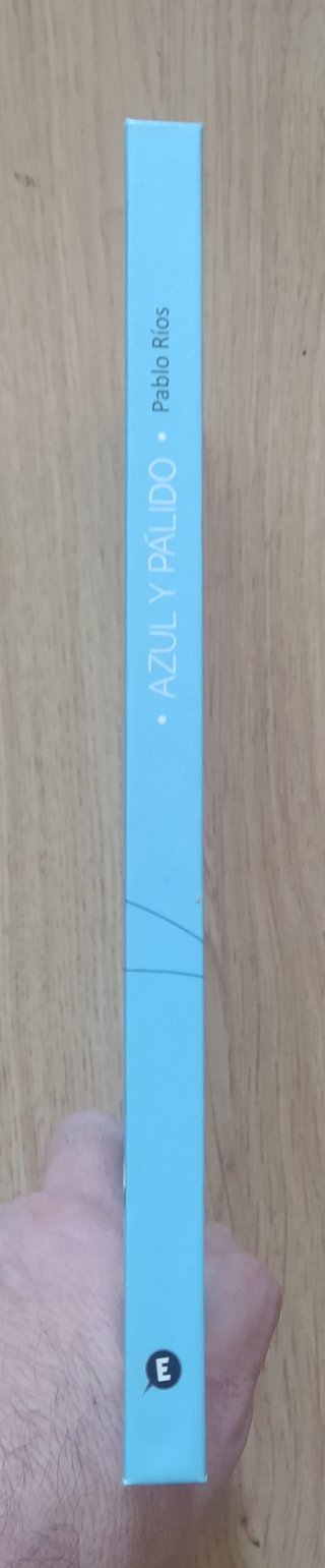 Azul y pálido, de Pablo Ríos