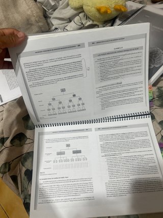 Psicologia diferencias individuales uned