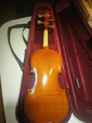 Violín 4/4 -Incluye arco, costilla y cera. -