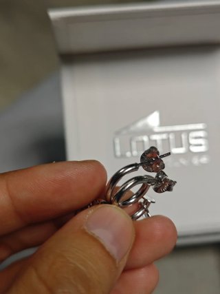 Pendientes Lotus SIN USAR