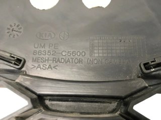 Rejilla radiador Kia Sorento II