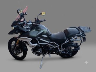Triumph Tiger 1200 Rally Pro Verde/Blanco