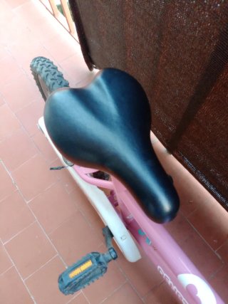 Bicicleta infantil DENBIKE 16 pulgadas