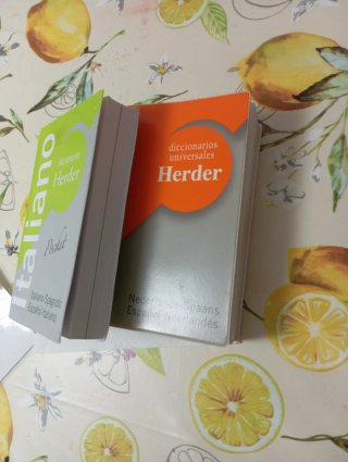 Diccionario Pocket Neerlandes