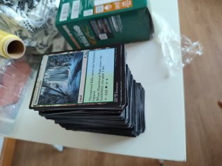 300 Carte Magic: The Gathering