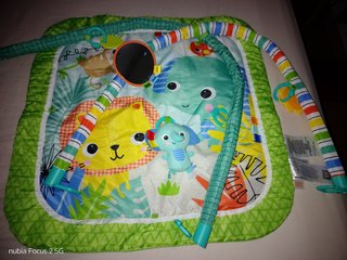 Gimnasio Plegable para Bebés