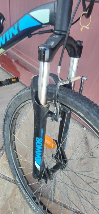 Bicicleta L
