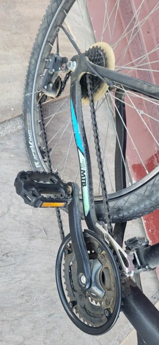 Bicicleta L