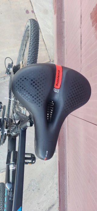 Bicicleta L