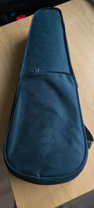 Violín 1/2 con funda