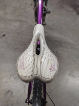 Bicicleta Coluer Lucy Morada