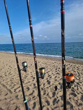 3 Cañas de pesca Veret 3 tramos carbono alto módu