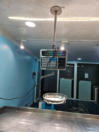 Cámara frigorífica pescaderí  Numero til 641788462