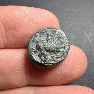 Moneda griega Filipo II Macedonia 359-336 a.C.