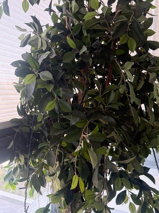 Árbol artificial decorativo