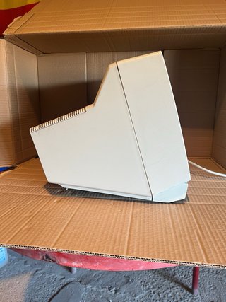 IBM 3152 CRT Monocromo