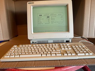 IBM 3152 CRT Monocromo