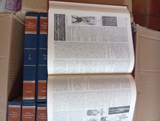 Nueva Enciclopedia Larousse (20 tomos)