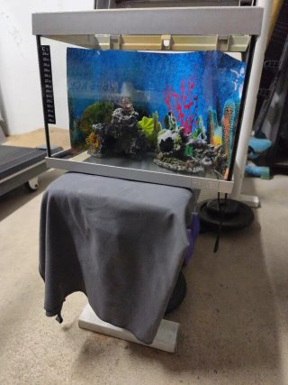 Acuario de 20 litros aprox. Modelo Hailea