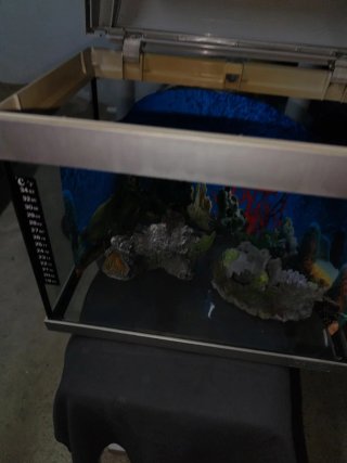 Acuario de 20 litros aprox. Modelo Hailea