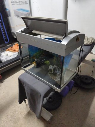 Acuario de 20 litros aprox. Modelo Hailea